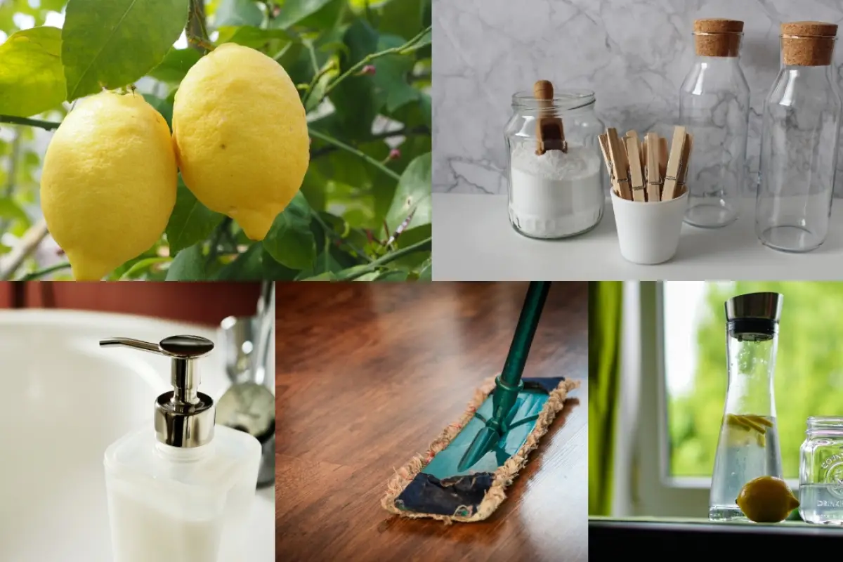 Usos del vinagre de limpieza: secretos para un hogar reluciente