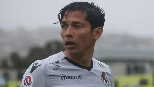 Matías Fernández