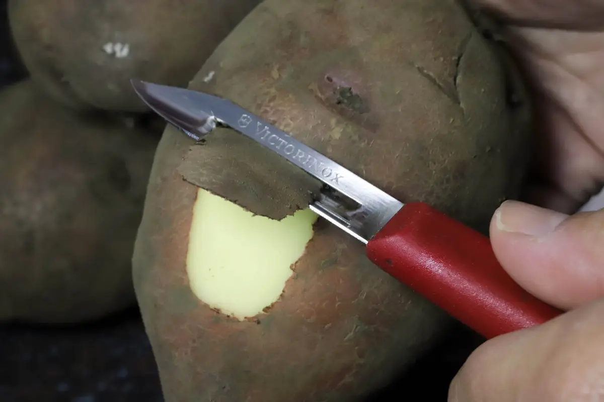 primer plano de una papa