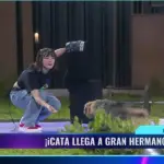 iCata