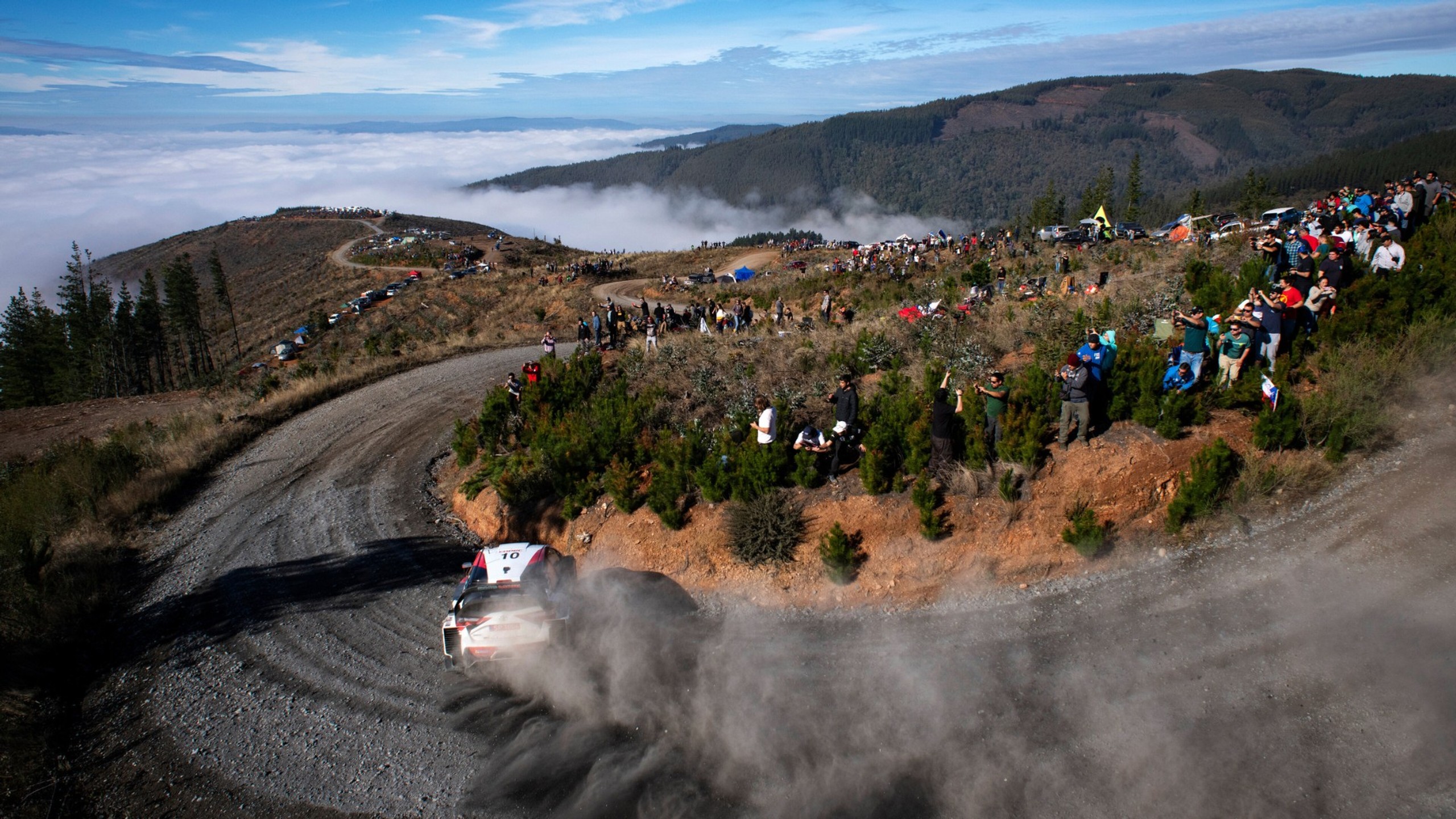 WRC en Chile / WRC en Chile 2019
