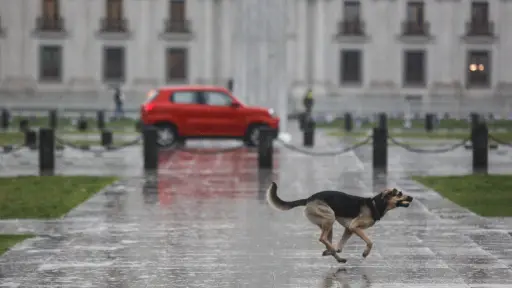 Precipitaciones