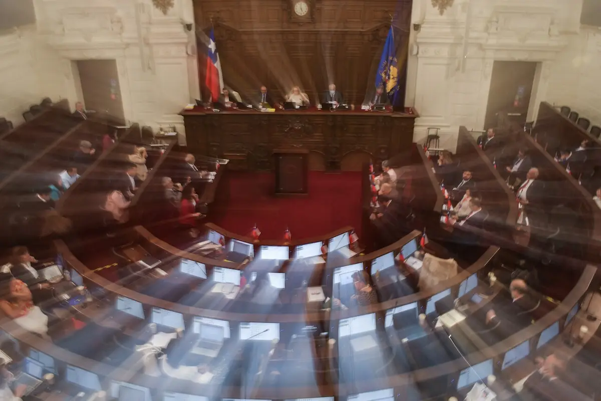 pleno del Consejo constitucional