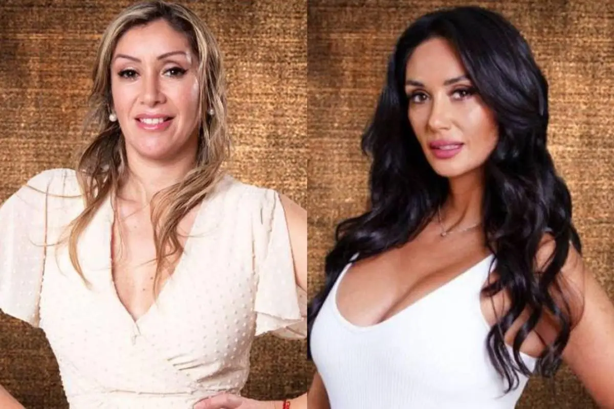 an - 2023-10-31T154401.746 (1), 