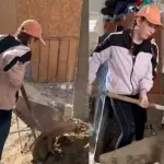 diputada Catalina Pérez ayudando con una pala en una construcción