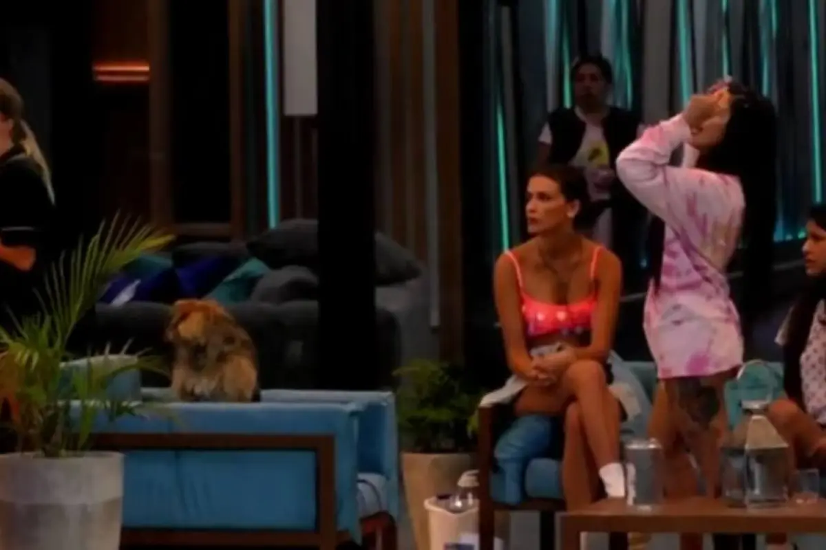 Screenshot_20231023-081029-724, 