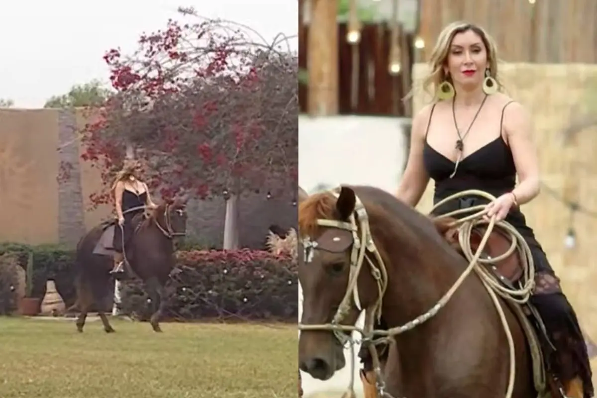 an - 2023-11-14T114332.201 (1), 