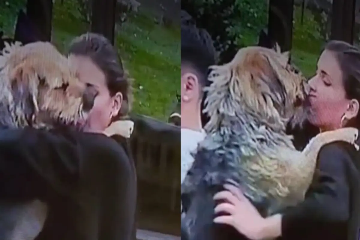 Screenshot_20231106-082951-639, 