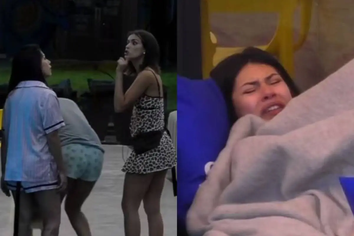 an - 2023-11-05T193218.713 (1), 