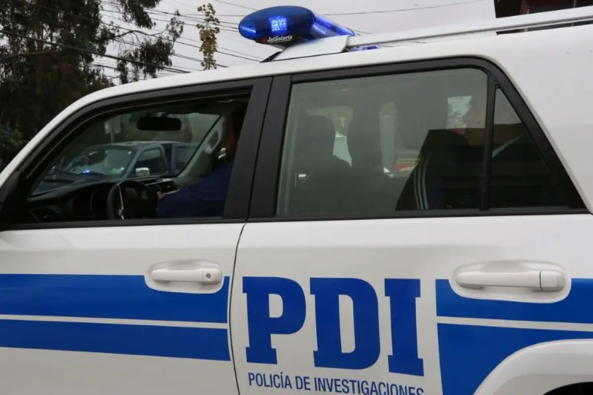 pdi,