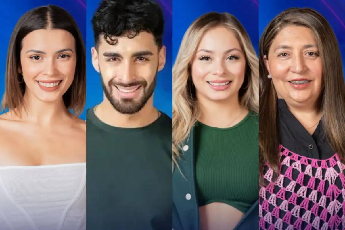 an - 2023-11-25T165306.095 (1), 