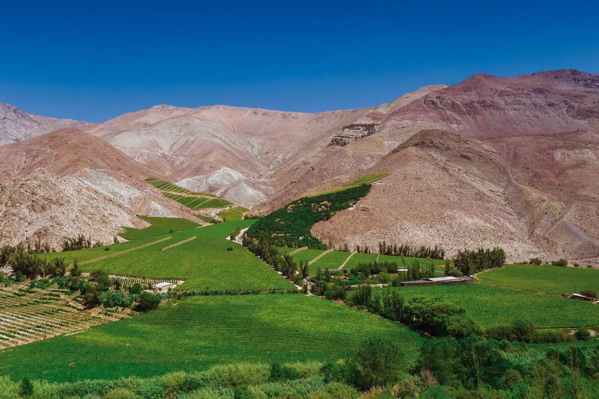 valle del elqui, 