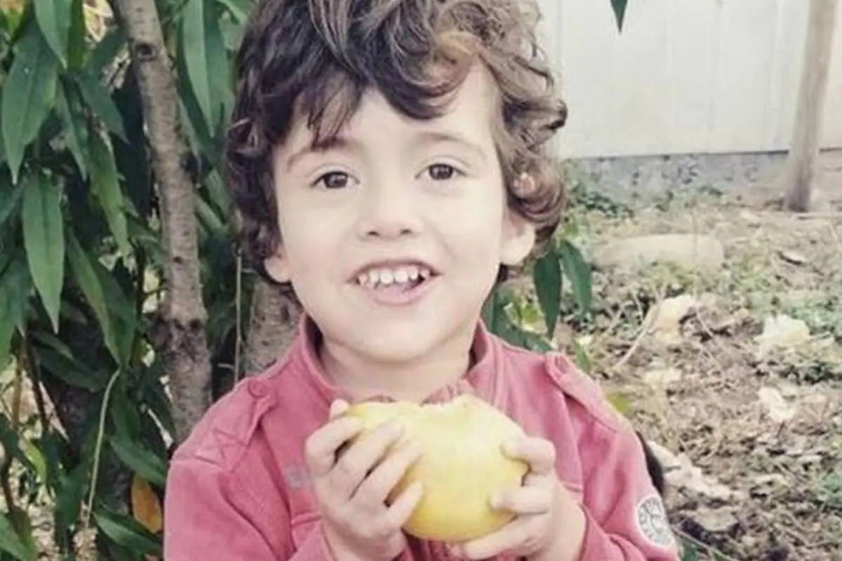Tomás Bravo