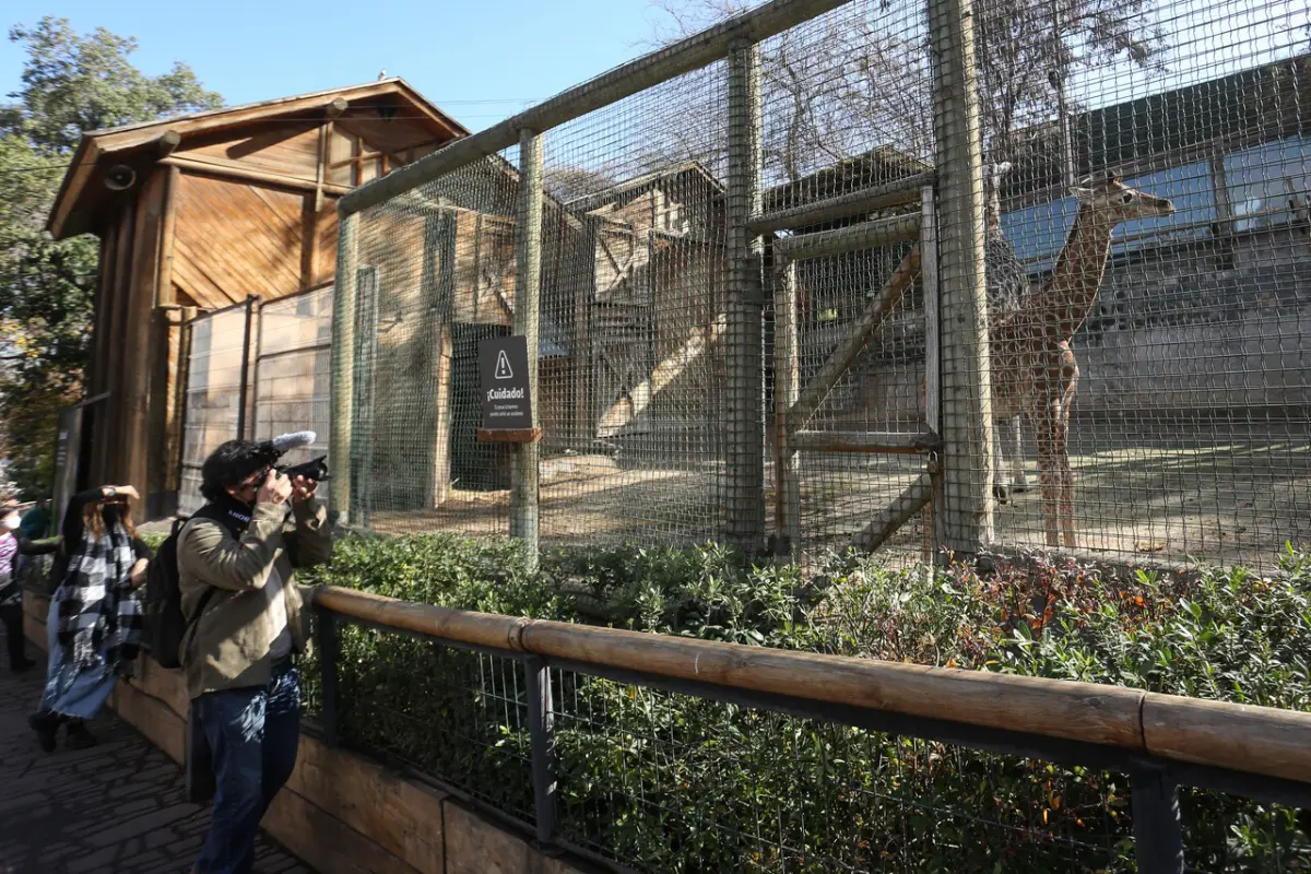 A_UNO_1381448, Agencia Uno