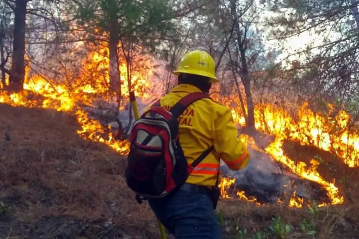 incendios forestales, 