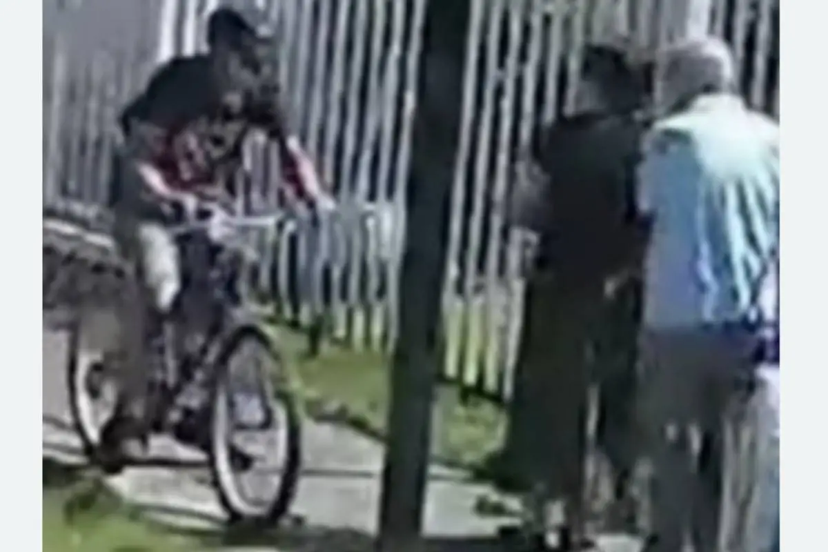 captura de bicichorro en La Florida