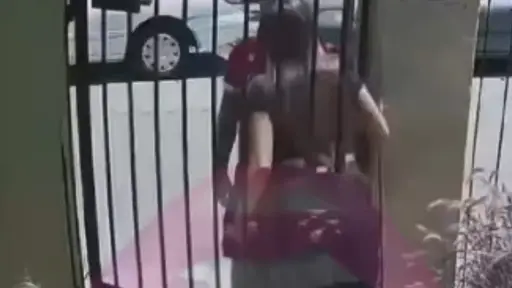 , 