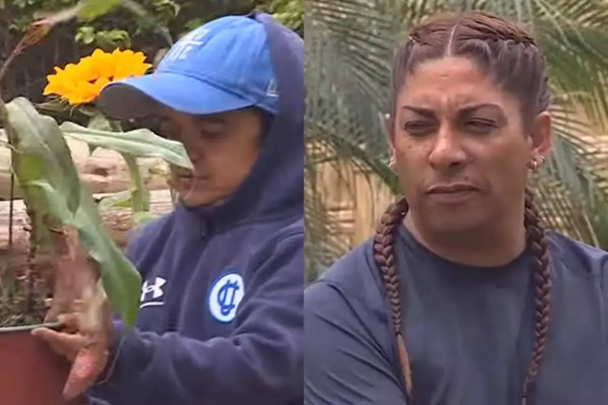 an - 2023-12-28T215307.909 (1), 