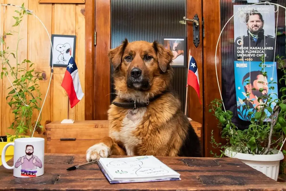 jesugarcia24_418965512_17956111583711213_4748306681188308756_n (1), 