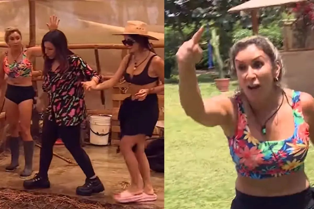 Diseño sin título (37), 