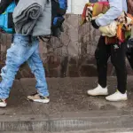 migrantes
