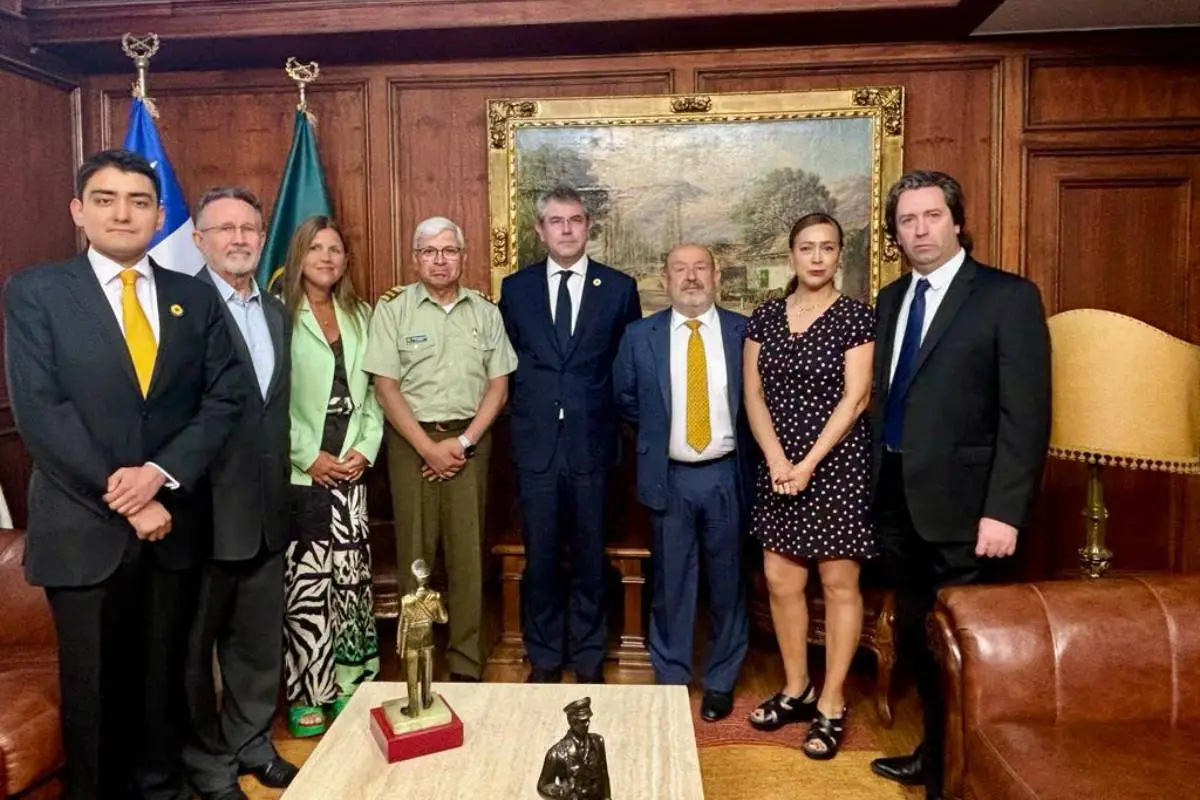 Amarillos por Chile, 