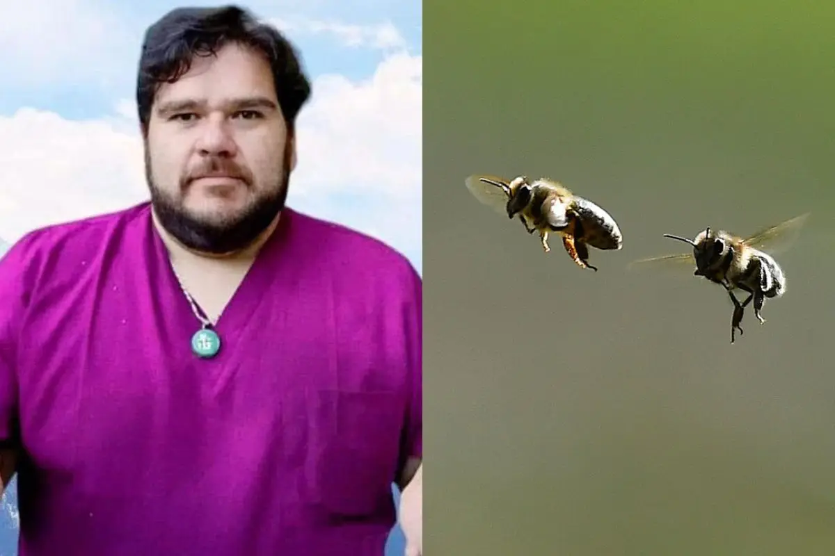 Abeja