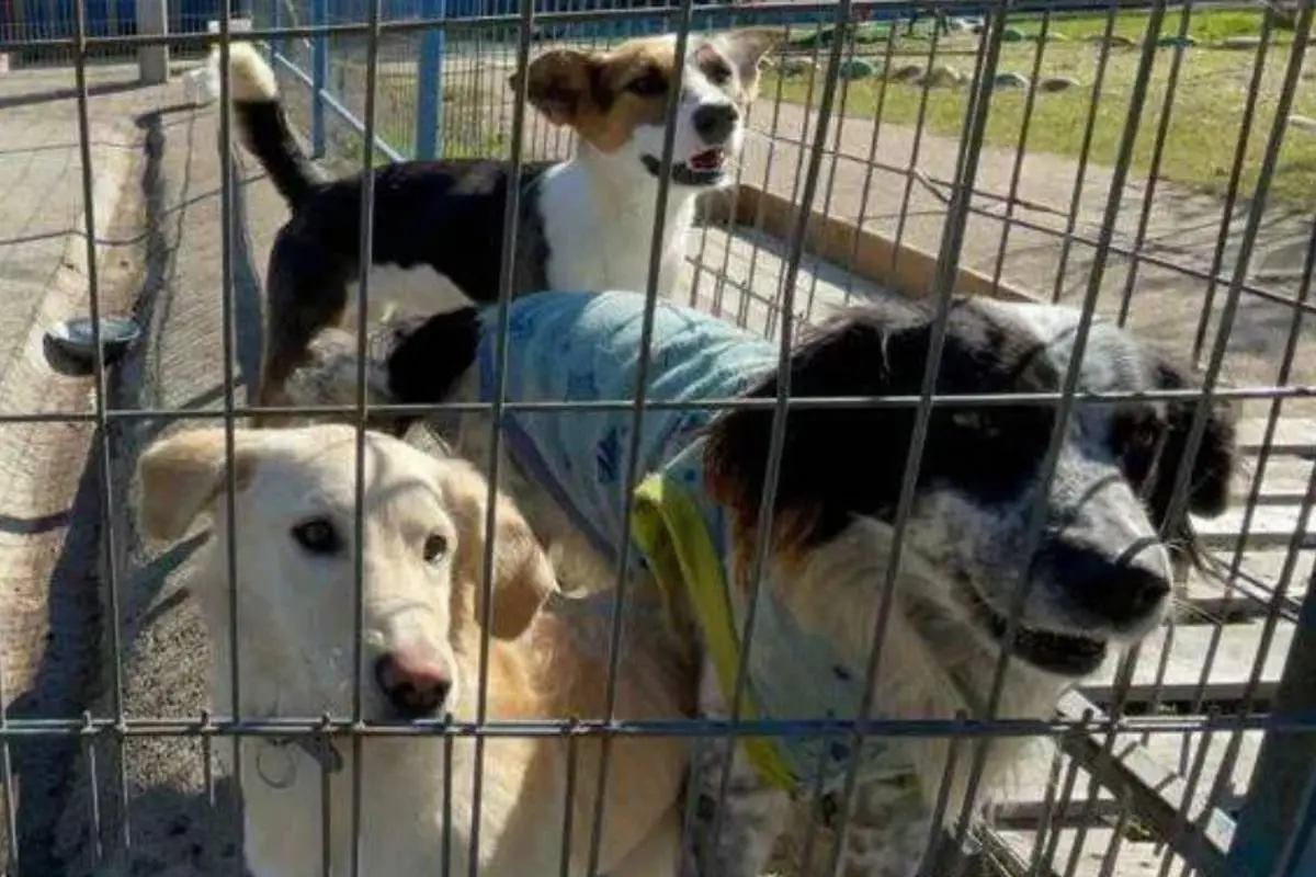 San Pedro de Atacama