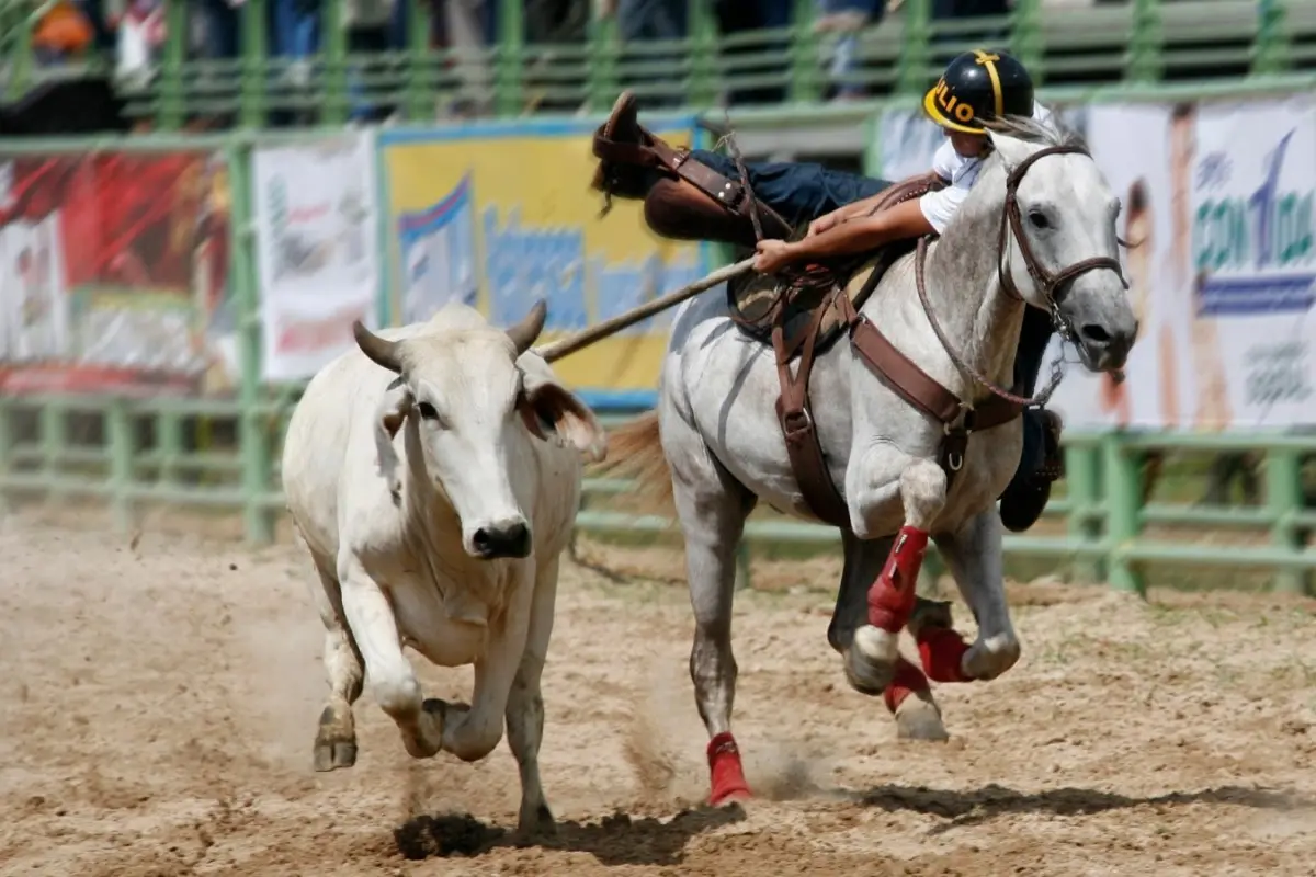 Fiesta Llanera, Redes sociales
