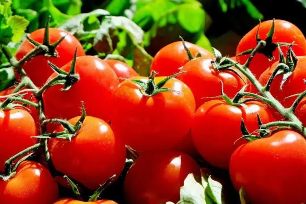 Tomates ,redes sociales 