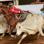 Coleo de Toros, Luis Morillo