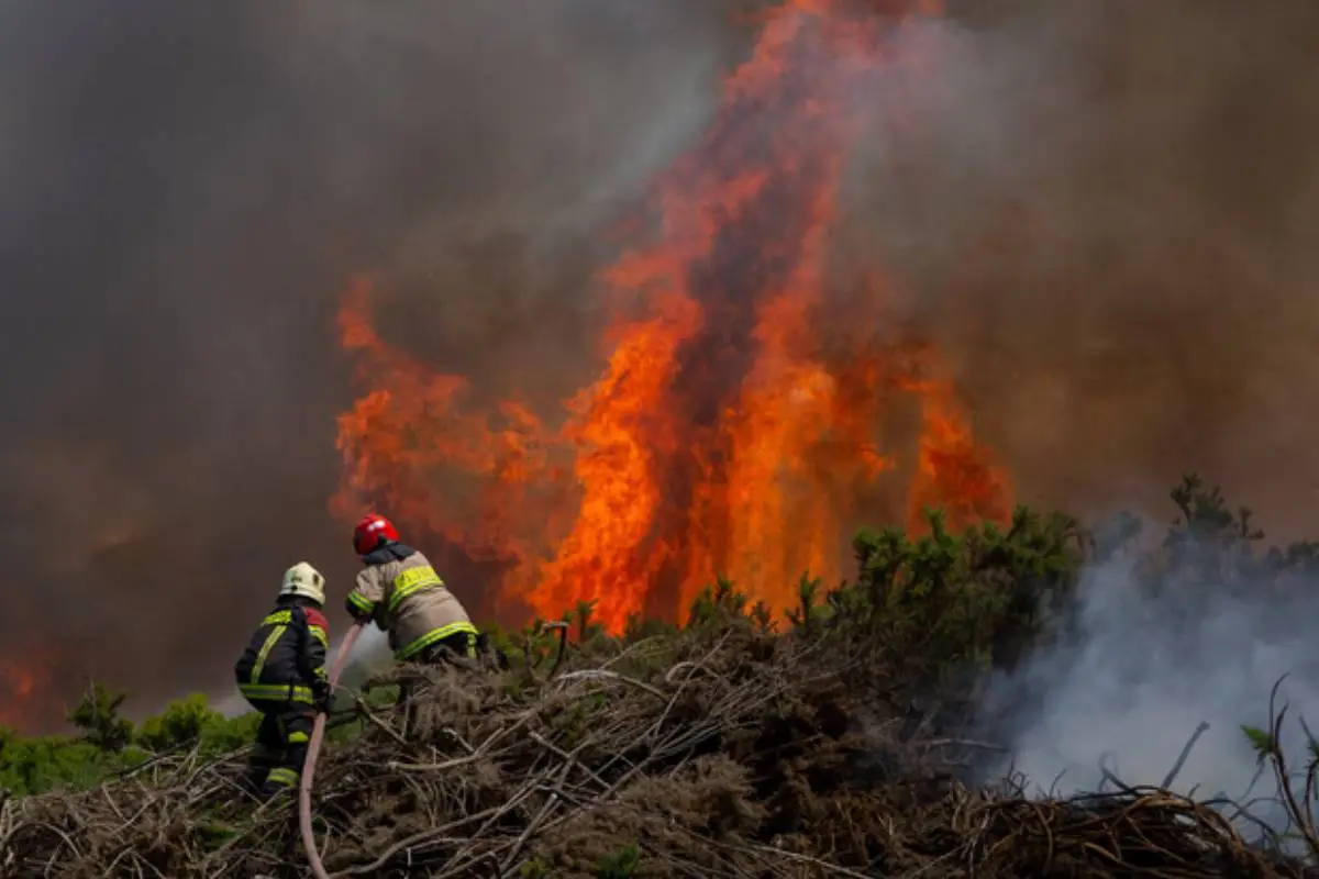 incendio, Agencia Uno