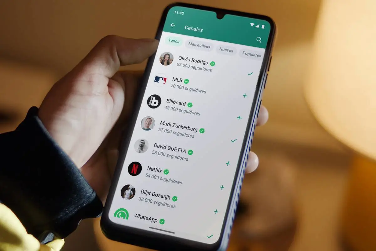 Whatsapp, Redes Sociales