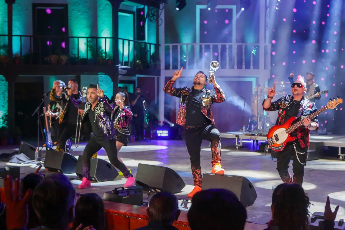 53477238773_c14d10ee42_k, 