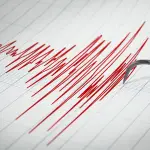 Sismo en la región Metropolitana, Agencua