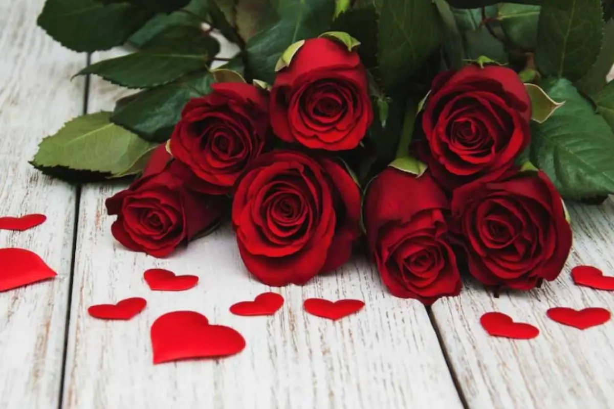 Significado de ramos de rosas en San Valentín, Redes Sociales