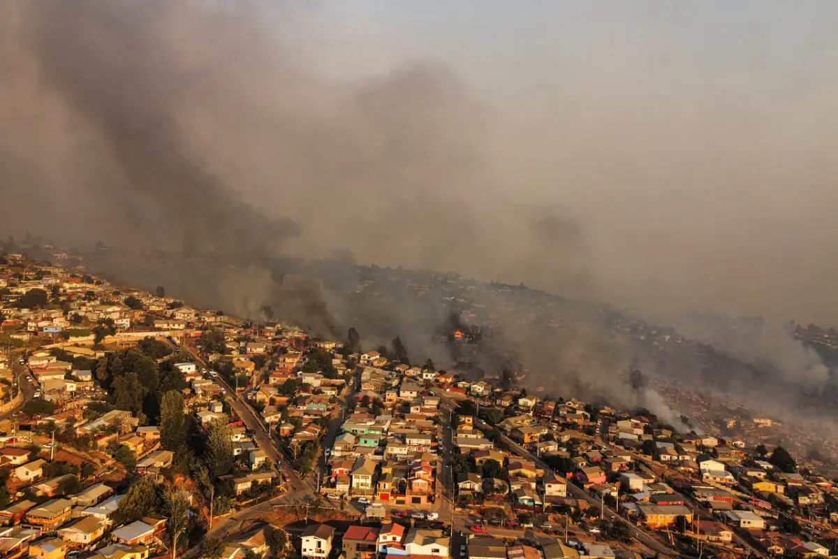 Incendio forestal en Viña del Mar, Agencia Uno