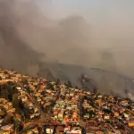 Incendio forestal en Viña del Mar, Agencia Uno