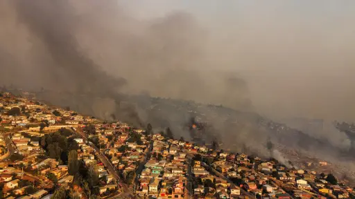 Incendio forestal en Viña del Mar, Agencia Uno