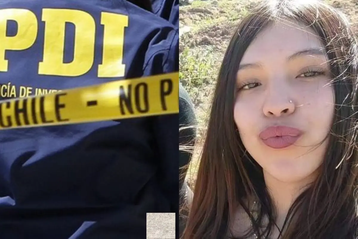 Michelle Silva desapareció el 6 de enero, Redes sociales