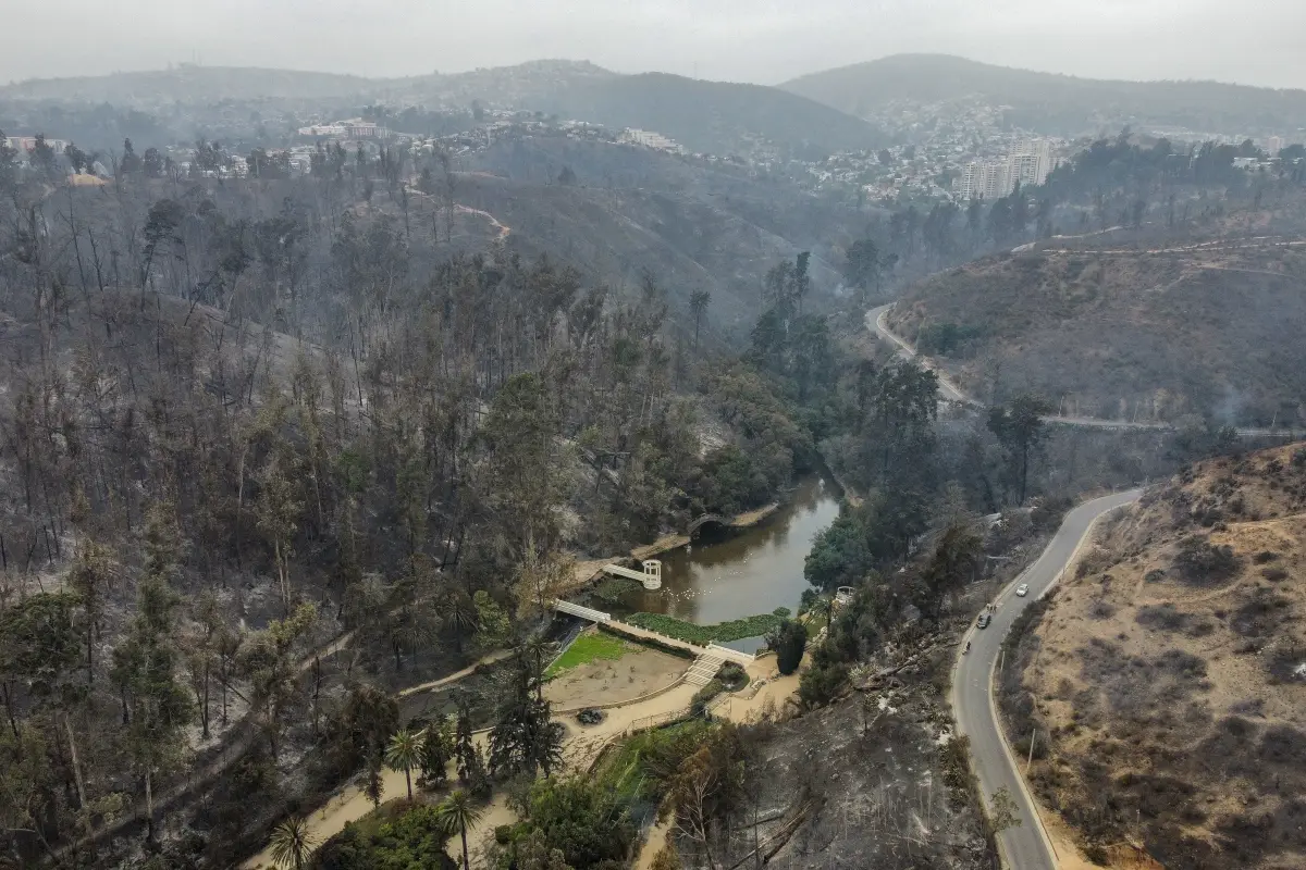 Jardín Botánico de Viña del Mar, Agencia Uno