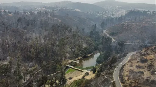 Jardín Botánico de Viña del Mar, Agencia Uno