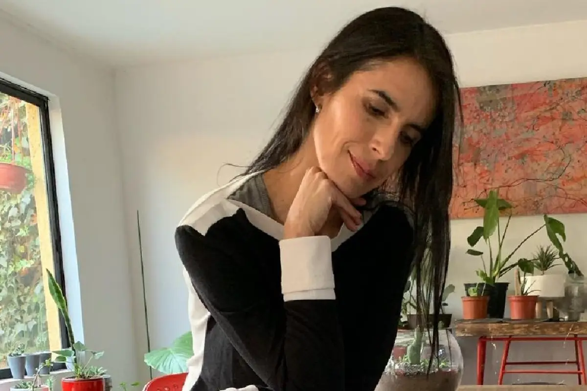 Porotito Verde, Redes sociales