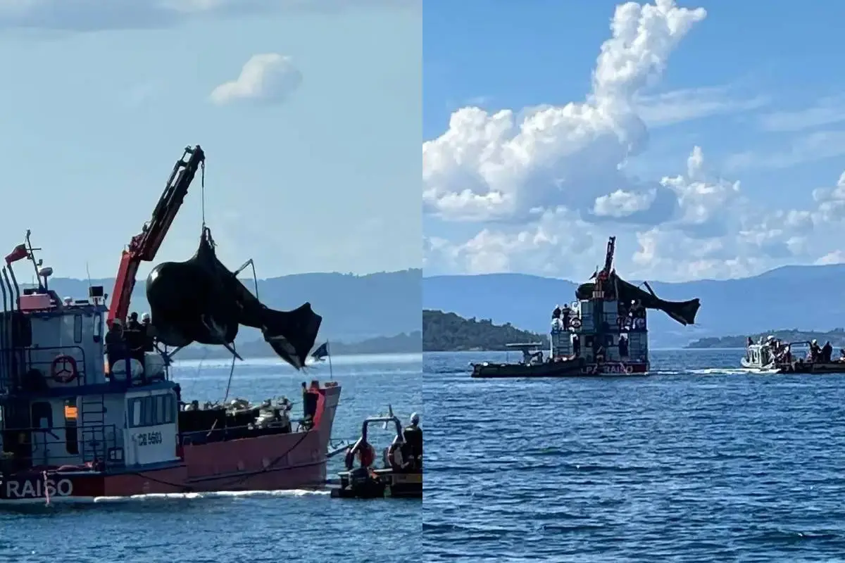 Extracción del helicóptero de Sebastián Piñera, La Tercera 