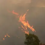 Incendio forestal, Agencia Uno /referencial