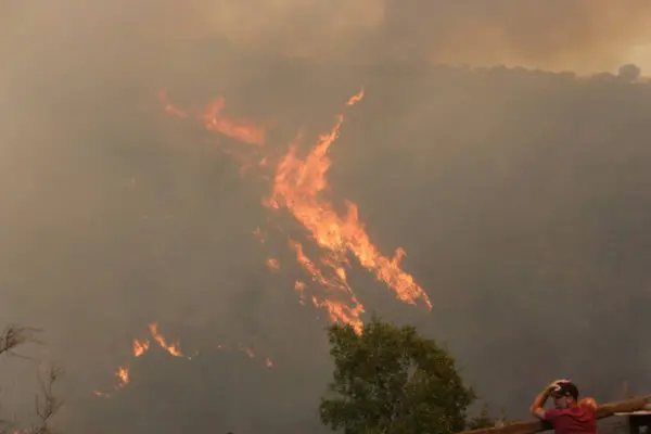 Incendio forestal ,Agencia Uno /referencial