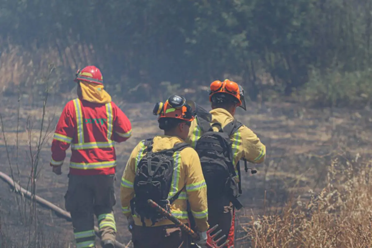 Incendio, Agencia Uno
