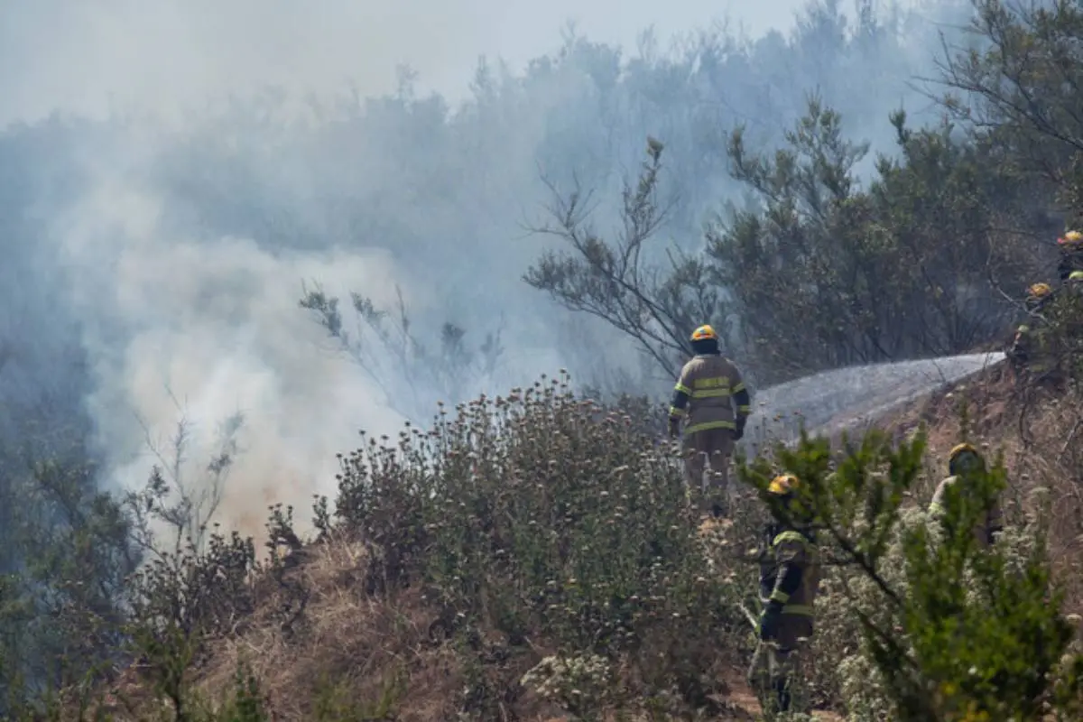 Incendio, Agencia Uno /referencial