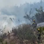 Incendio, Agencia Uno /referencial