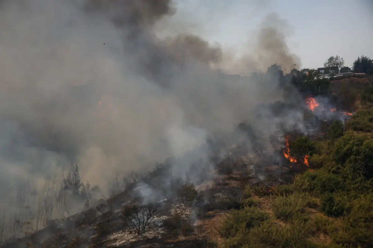 EEUU ofrece ayuda a Chile, Agencia Uno